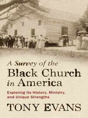 cover image of A Survey of the Black Church in America